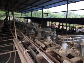 想,都是問題 做,才是答案