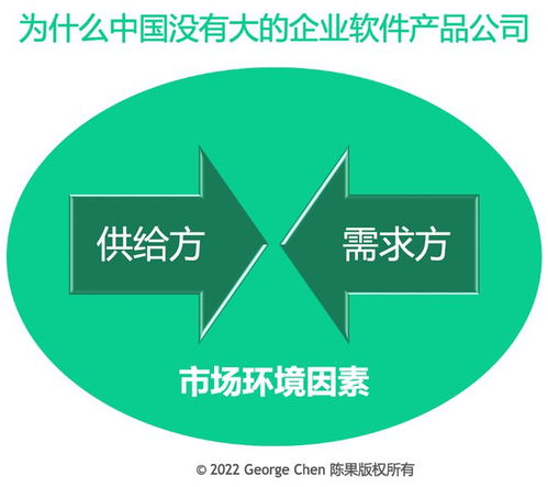 為何中國(guó)企業(yè)軟件市場(chǎng)未現(xiàn)巨頭？探析背后的多重因素